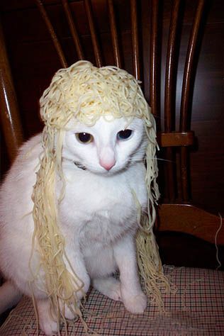 Spaghetti