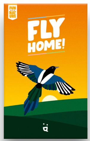 Fly Home!
